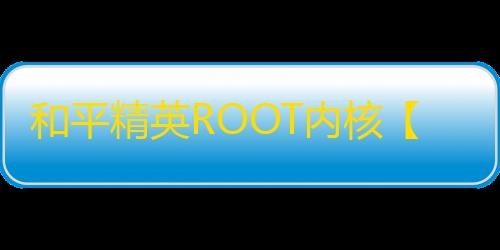 和平精英ROOT内核【快手】和平插件-外挂